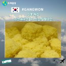 강릉 떡집 카스테라인절미가 맛난 말랑곳간