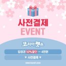 코리아펫 이미지