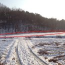 당동2로1_당동리버스정류장 이미지