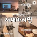 선화동 8-1 주차장 앞 | 대전독립서점 서재바시연 냥이가 있는 선화동술집