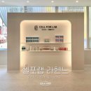 경상남도 창원시 동부건강생활지원센터 | 창원 셀포랩 라헨느 편한다이어트 후기