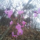 연주농장 이미지