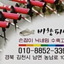 비향피싱 이미지