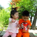 팔용초등학교 이미지