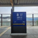 태하소언양불고기 | [울산 태하소언양불고기] 울산역 근처 정갈한 맛집