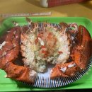 참신렌트카여행사 이미지