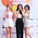 신비체육관 이미지
