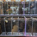 물고기(물과의 만남 이미지