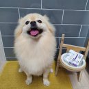 본스테이 이미지