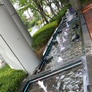 자몽 안경원 이미지