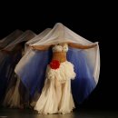 밸리댄스 이미지