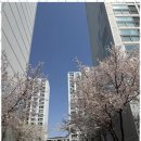 현대공인중개사 이미지