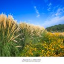 천지자연마을 이미지