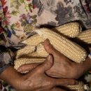 내가하는세차마을 이미지