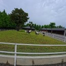 원구농장 | 대만여행지추천 카피바라 이란 장메이 아마 농장 야시장