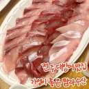 전주 대방어 포장하러 매년 가는곳 에코시티 탐라수산 내돈내산 후기