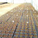 개화농장 이미지