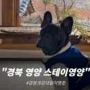 스테이영양둘째 이미지