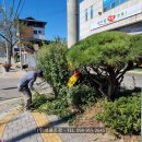 성산면사무소 이미지