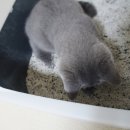 주식회사 에스클래스(S-CLASS) 이미지