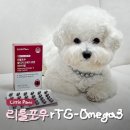 행복한 멍냥이 | 강아지오메가3 리틀포우 알티지 오메가 큐텐 리바이탈 영양제 급여 후기