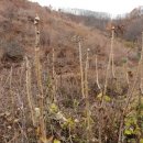 무진장농원 이미지