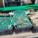 자유상회 이미지