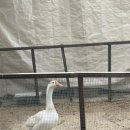 거제도스테이와녹 이미지