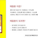 경희대 멘토 태권도장 이미지
