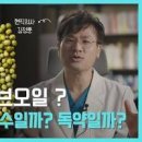 엑스트라버진 올리브오일 효능 공복 섭취 먹는 방법 이미지