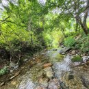 숲속의 하얀펜션 | 화려함보다는 편안함과 따뜻함이 가득한 양평독채펜션 양평숲속의하얀집펜션