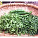 된장예술과 술 이미지