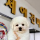 워킹포드림 이미지