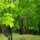 소향공원 이미지