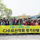 낙동강 유채단지 이미지