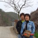 대촌농장 Daum카페