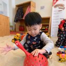 보정지구대 이미지