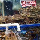 가락활어회센터 이미지