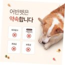 광주 강아지분양 고양이분양 어반펫 광주본점 이미지