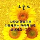 네꼬님 이미지