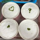 청두곶길 12 이미지