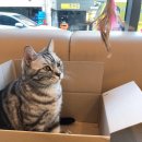 다호동물병원 이미지