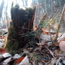 산음자연휴양림 이미지