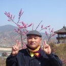 화개농원 이미지