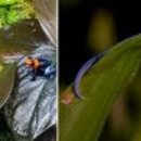 비바리움매니아 이미지