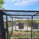 숏게임마스타 이미지