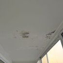 삼보로 | 부천 중동 포도마을 삼보영남 베란다페인트 탄성코트(바이오세라믹) 시공후기