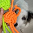 몰리스펫샵 스타필드시티 위례점 | 몰리스몰 강아지용품 사료 간식 장난감 하네스(위례 스타필드 강아지용품 오프라인샵)