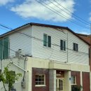 제리월드 | 묵호 제리베리 :: 파스타 솔직 후기, 빈티지 브런치 카페 추천💫