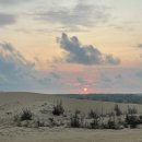 일수농장 | 나트랑 무이네 사막투어 지프투어 옷 시간 스냅사진 후기